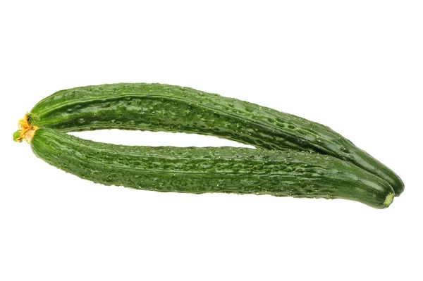 Cucumber — Stock Photo, Image