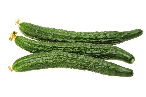 Cucumber — Stock Photo, Image