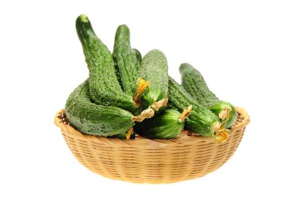 Cucumber — Stock Photo, Image