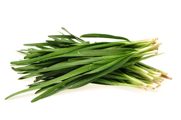 Green Onion — Stock Photo, Image