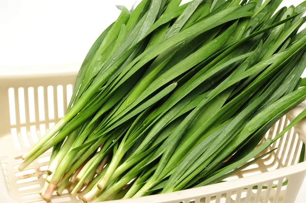 Green Onion — Stock Photo, Image