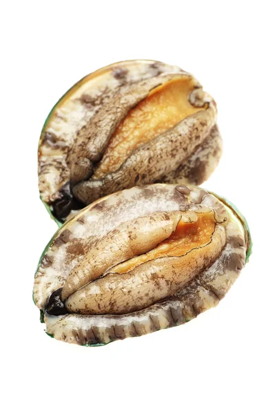 Abalones grezzi sullo sfondo bianco — Foto Stock