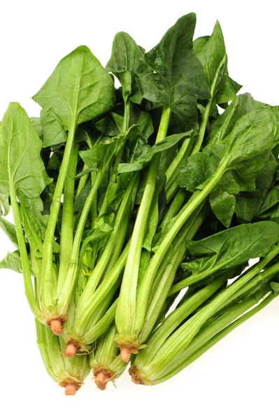 Spinach — Stock Photo, Image