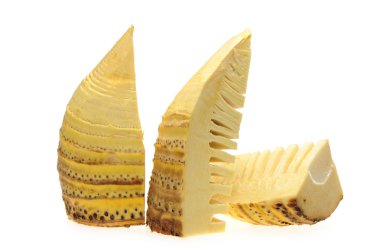 Bambu filizleri