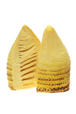 Bambu filizleri