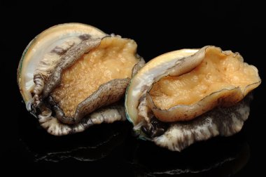 ham abalones