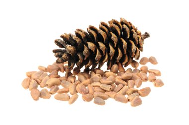 Çam fıstığı beyaz arkaplanda izole