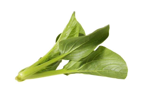 Spinach — Stock Photo, Image