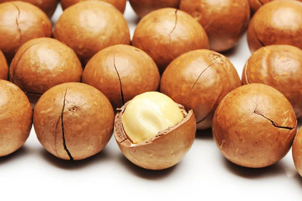 Frutos secos de macadamia — Foto de Stock