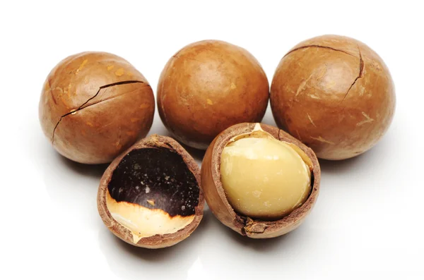 Macadamia nuts — Stock Photo, Image