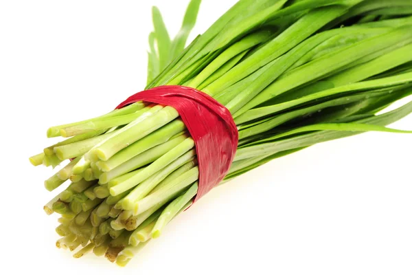 Green Onion — Stock Photo, Image