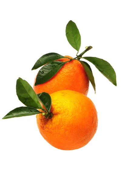 Naranja — Foto de Stock