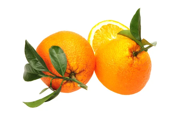 Orange — Stockfoto