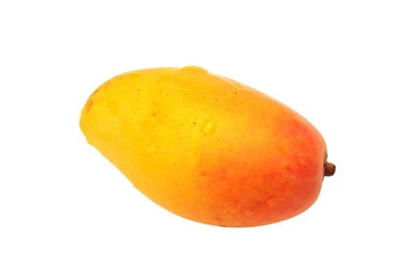 Mango — Stock Photo, Image