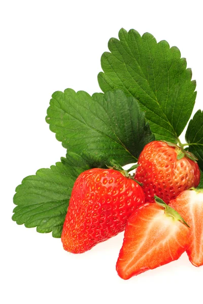 Fragole — Foto Stock