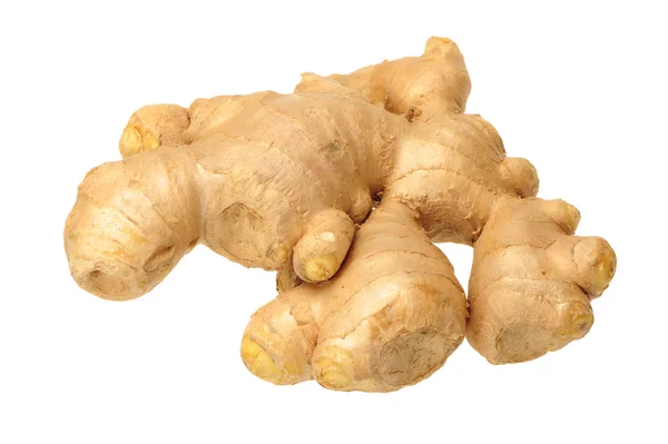 Ginger — Stock Photo, Image