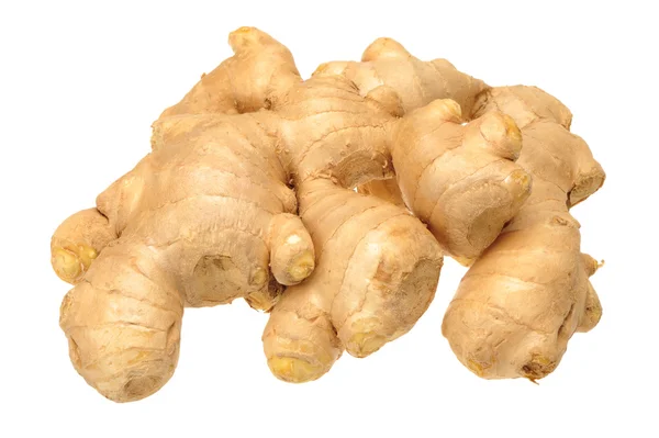 Ginger — Stock Photo, Image