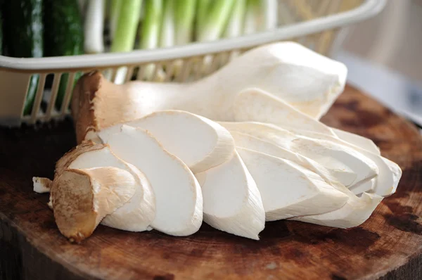 King Oyster Mushroom — Stock Photo, Image