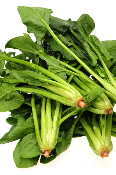 Spinach — Stock Photo, Image