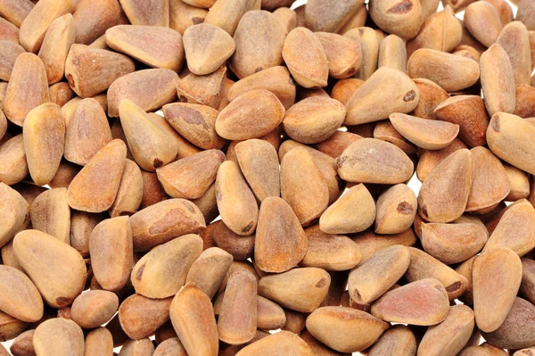 Borové ořechy izolované na bílém pozadí — Stock fotografie
