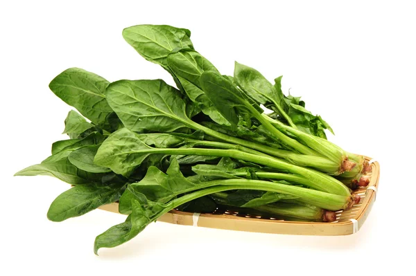 Spinach — Stock Photo, Image