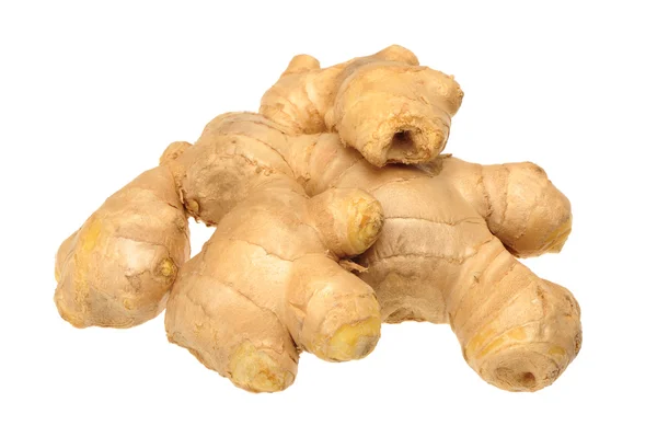 Ginger — Stock Photo, Image