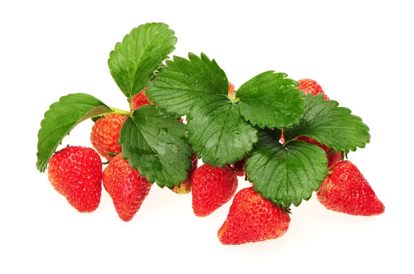 Erdbeeren — Stockfoto