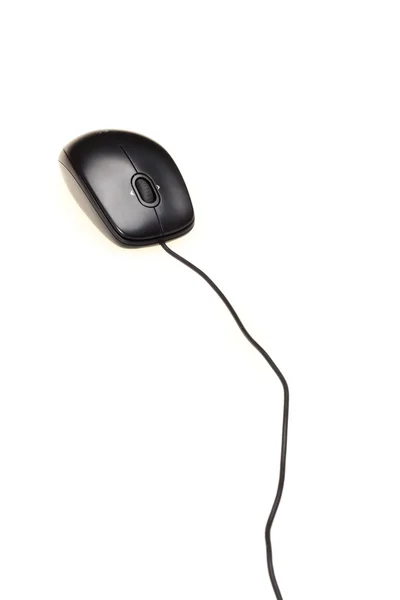 Computer mouse — Stock Photo, Image