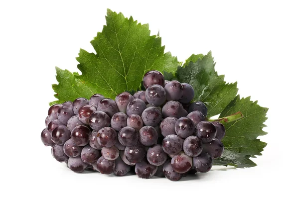 Uvas —  Fotos de Stock