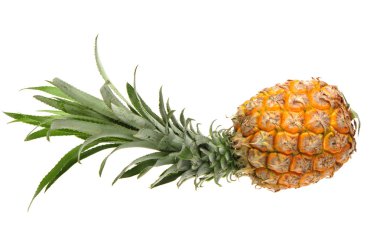 Ananas.