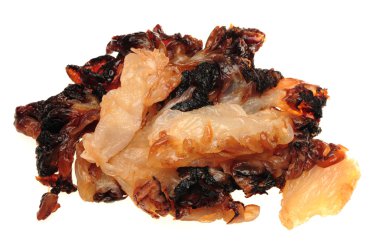 denizanası baş beyaz zemin üzerine