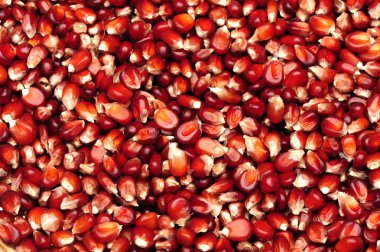 geleneksel Mısır renkli