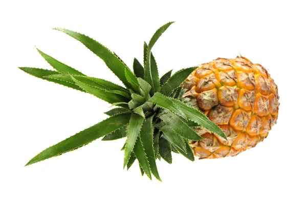 Ananas — Foto Stock