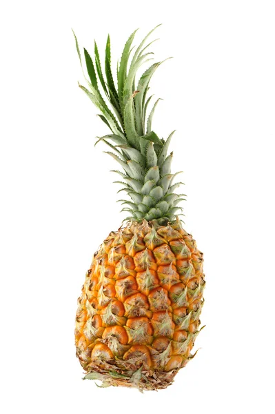 Pineapple — Stock Photo, Image