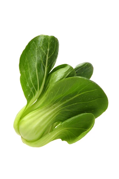 Chinese Vegetable cabbage on white background — Stock Photo, Image