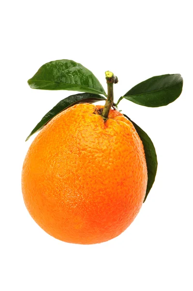 Orange — Stock Photo, Image