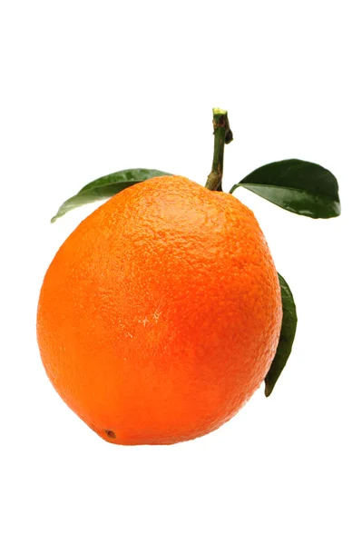 Pomarańcza — Zdjęcie stockowe