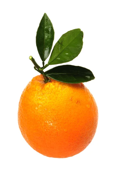 Naranja — Foto de Stock