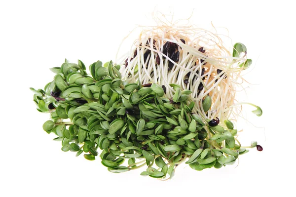 Gröna sojabönor groddar på vit bakgrund — Stockfoto