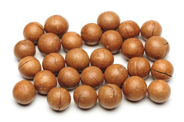 Frutos secos de macadamia — Foto de Stock