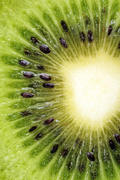 Kiwi fruit — Stock Photo, Image