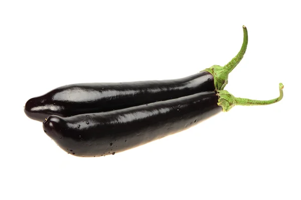 Aubergine isoliert auf weißem Hintergrund — Stockfoto