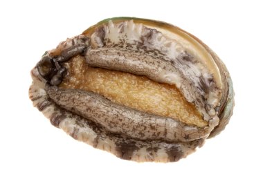 ham abalones