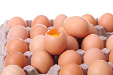 bir zambak ile mutlu gelin