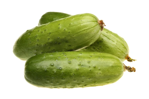 Cucumbers — Stock Photo, Image