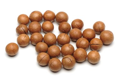 Macadamia fındık