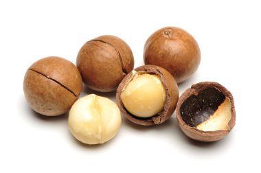 Macadamia fındık