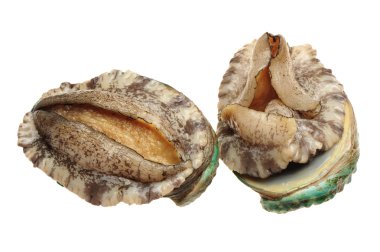 ham abalones