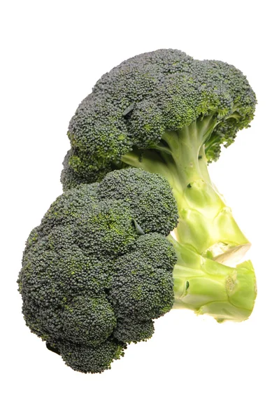 Broccoli — Stockfoto