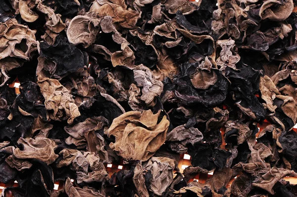 Black fungus — Stock Photo, Image